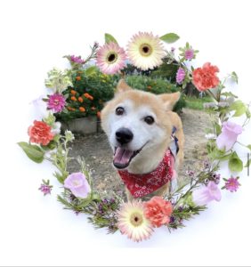 かおるちゃん