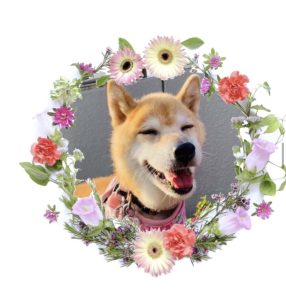 やよいちゃん