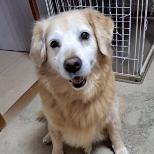 マータイちゃん