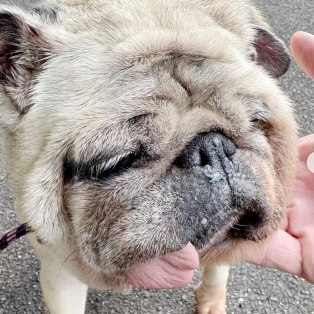 ミセスヘアちゃん